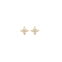 Load image into Gallery viewer, STARLET STUDS