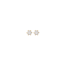 Load image into Gallery viewer, LITTLE SPARK STUDS