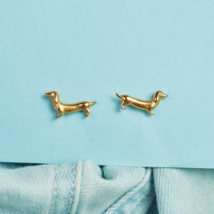 MY FAVORITE DOG/CAT STUDS